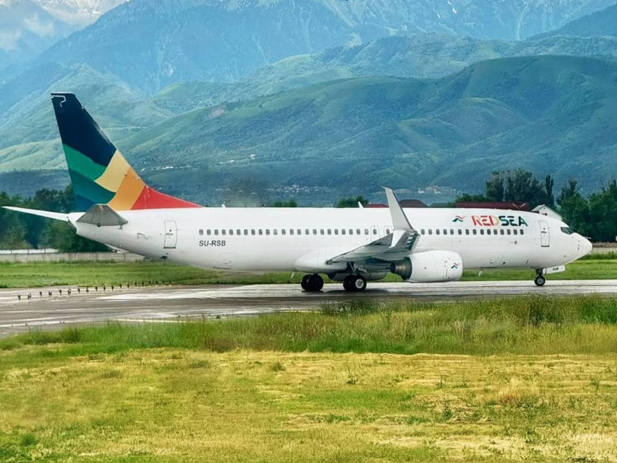 Red Sea Airlines